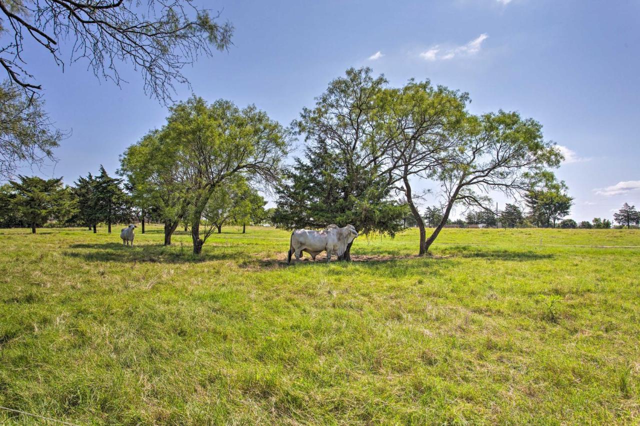 Texas Cabin On 130 Acres Walk To Lake Ray Roberts Collinsville Екстериор снимка